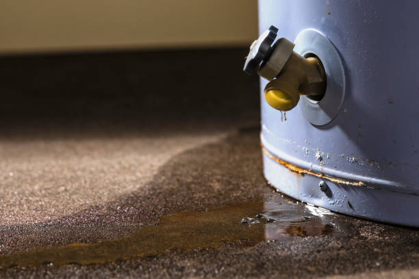 Best Flooded house restoration  in Warrenvle, IL