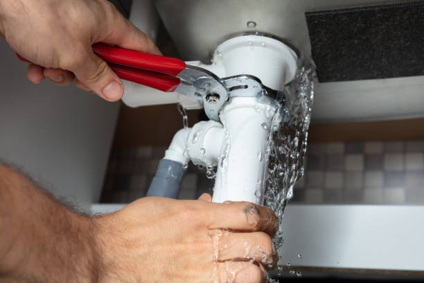 Best Local water damage restoration  in Warrenvle, IL