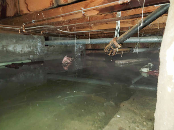 Best Water damage restoration near me  in Warrenvle, IL