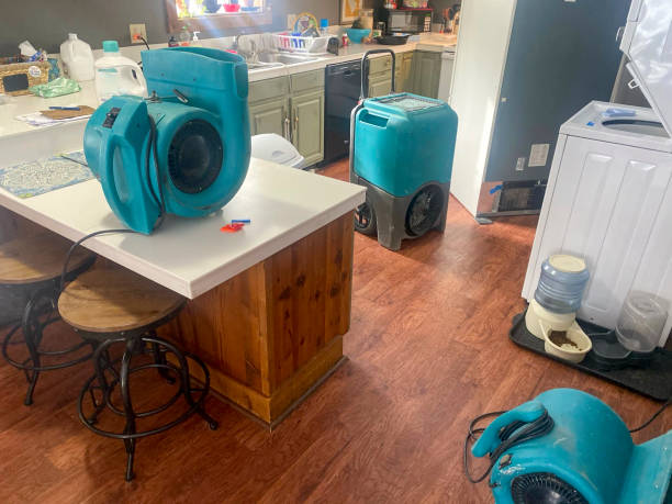 Best Commercial water damage restoration  in Warrenvle, IL