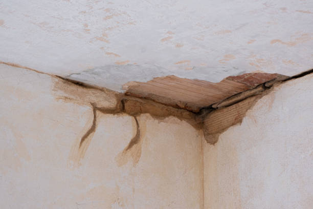 Best Water damage restoration mold remediation  in Warrenvle, IL