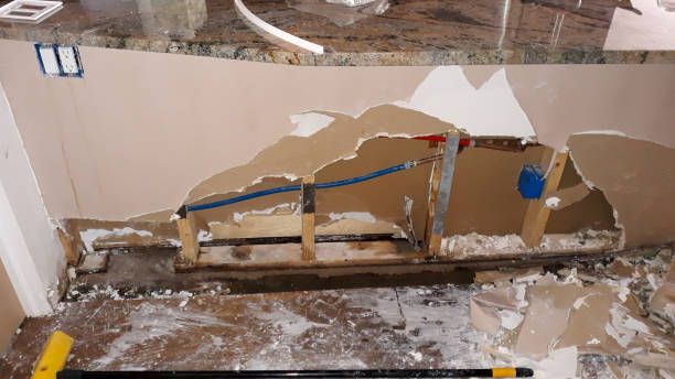  Warrenvle, IL Water damage restoration Pros