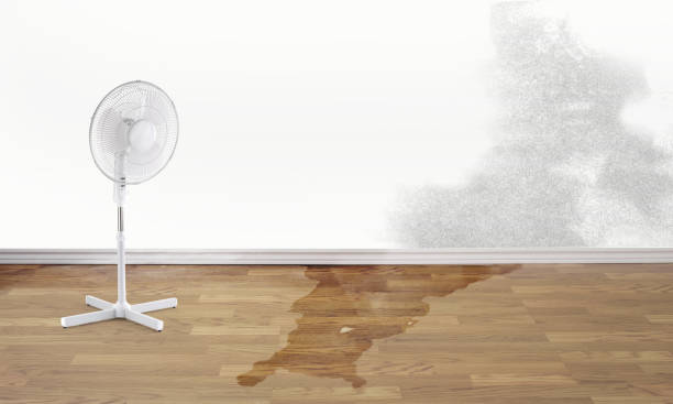 Carpet water damage restoration in Warrenville, IL