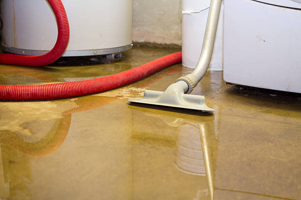 Water damage restoration insurance claims in Warrenville, IL