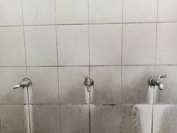Best Water damage restoration near me  in Warrenvle, IL