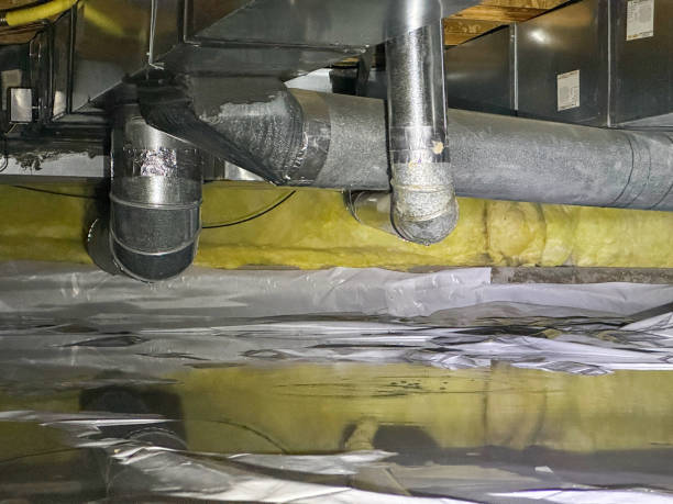 Best Fire Damage Restoration  in Warrenvle, IL