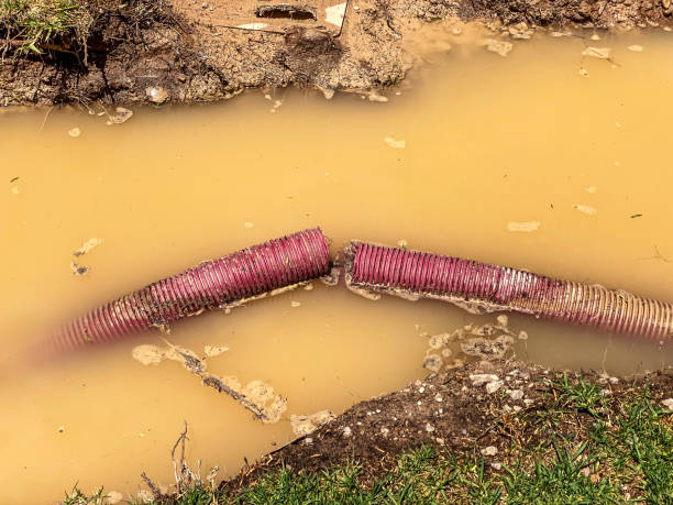 Best Basement water damage restoration  in Warrenvle, IL