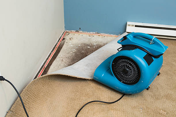 Best Water damage restoration company  in Warrenvle, IL