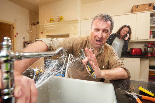 Best Water damage restoration insurance claims  in Warrenvle, IL